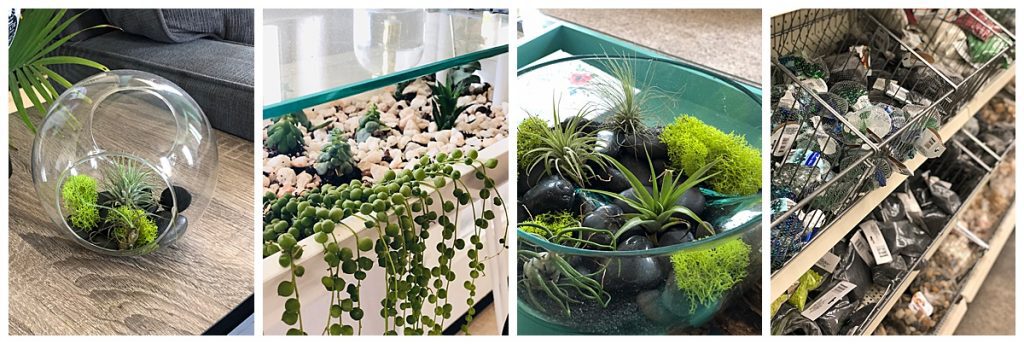 dollar tree accent stones