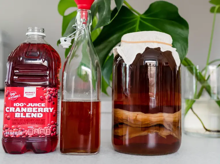 Homemade kombucha in glass bottles and a jar