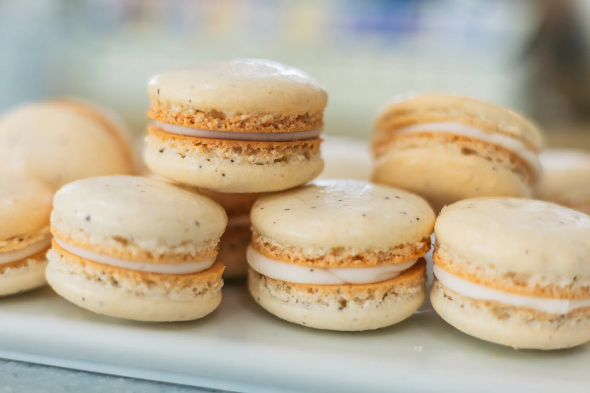 Stack of vanilla latte macarons with vanilla bean flecks and creamy white filling on a white plate