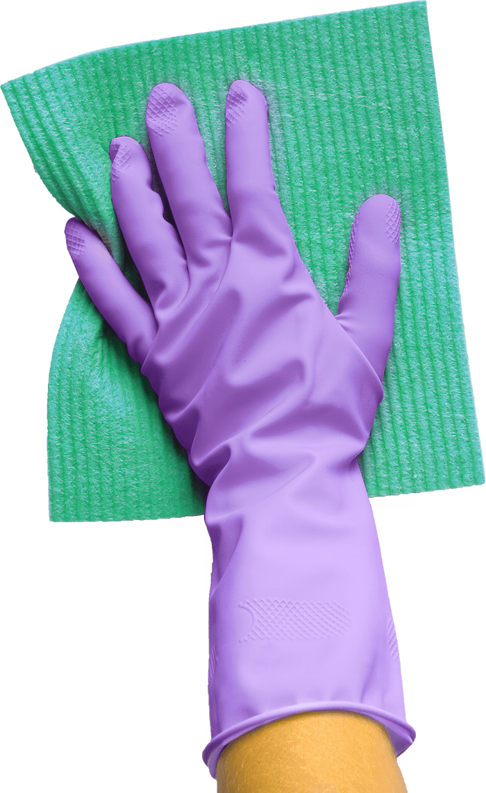 A cleaning hand in a purple glove and with a green cloth.