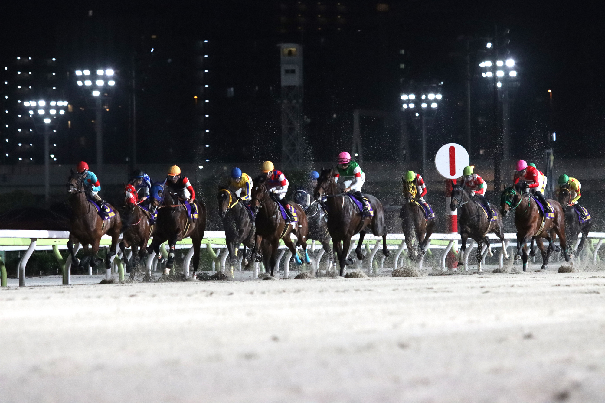 Twinkle Race at Oi Racecourse