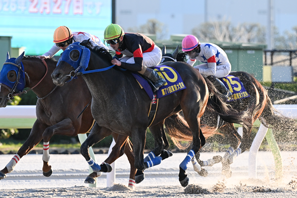 Key International Races