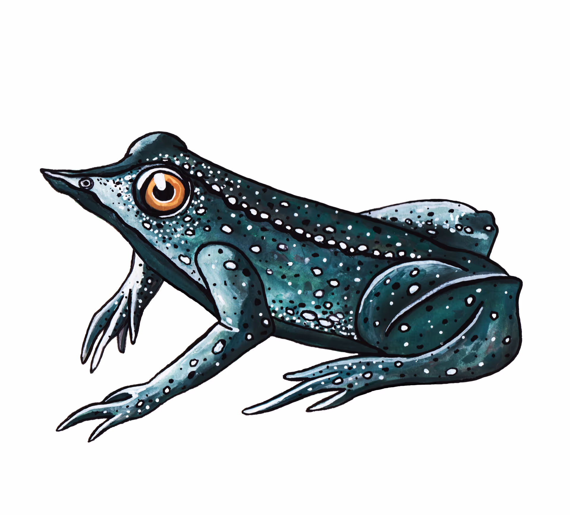 darwinsbekbroeder