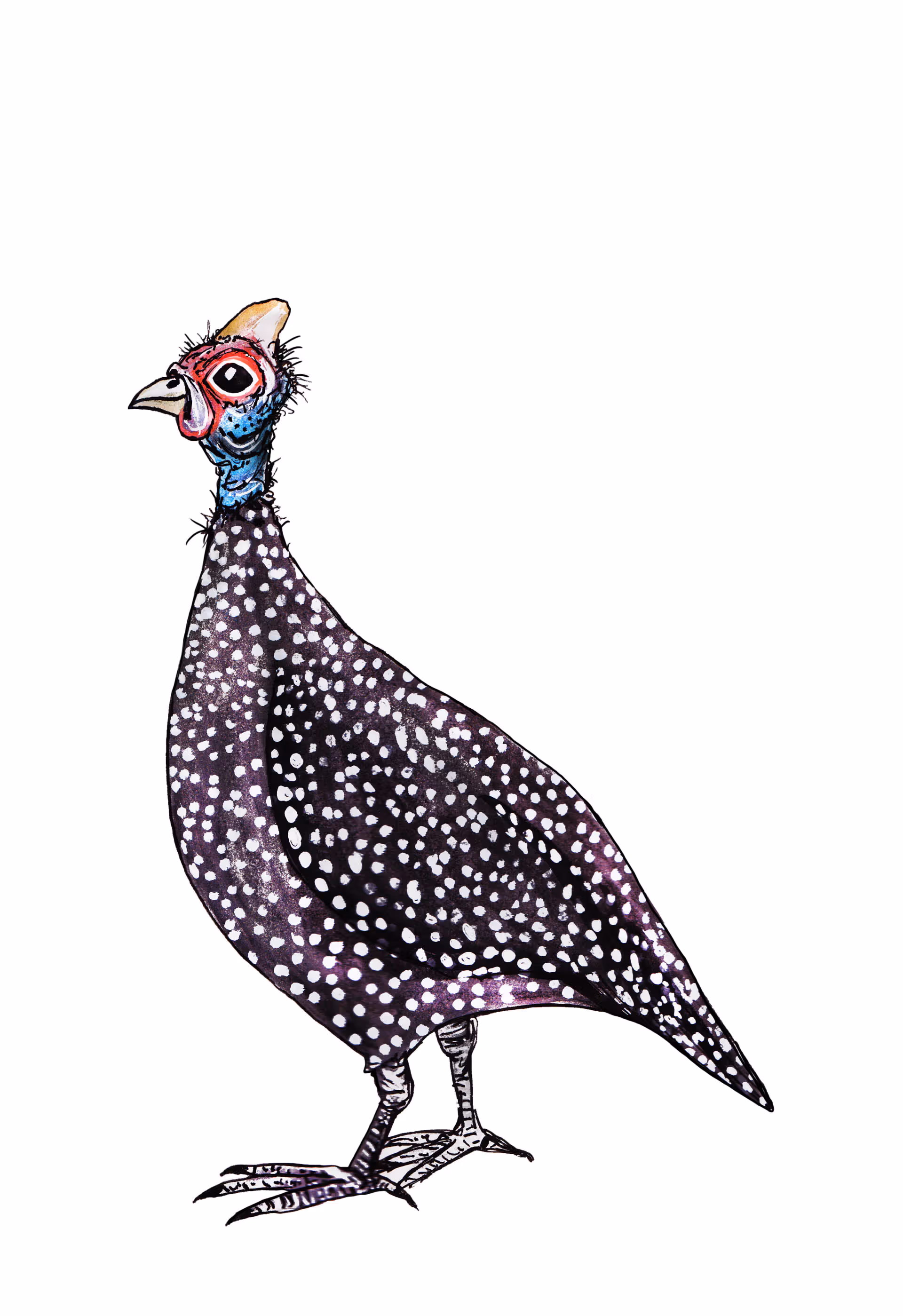 Parelhoen
