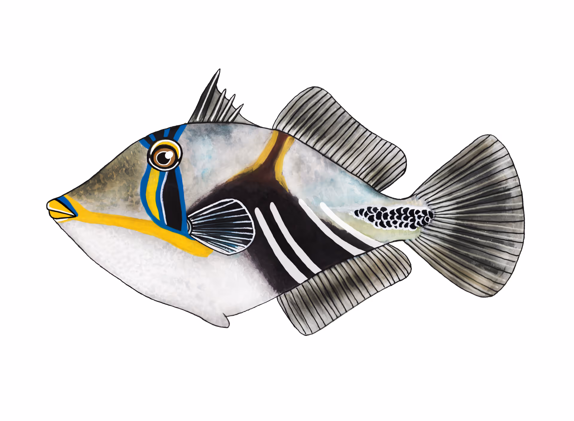 Picassovis