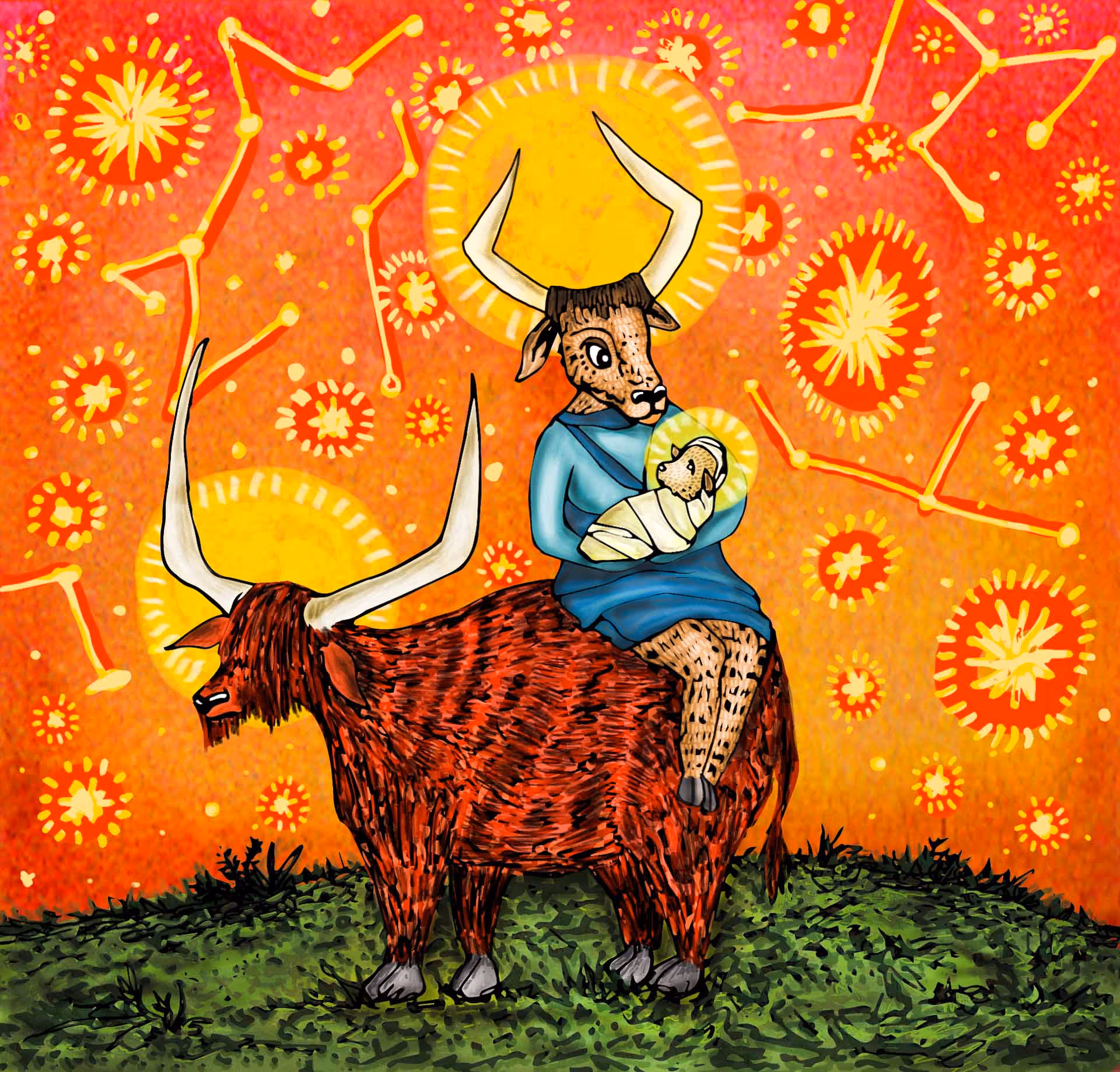 Kerst sterren