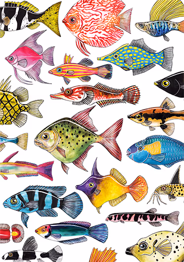 Fish on Friday Poster
