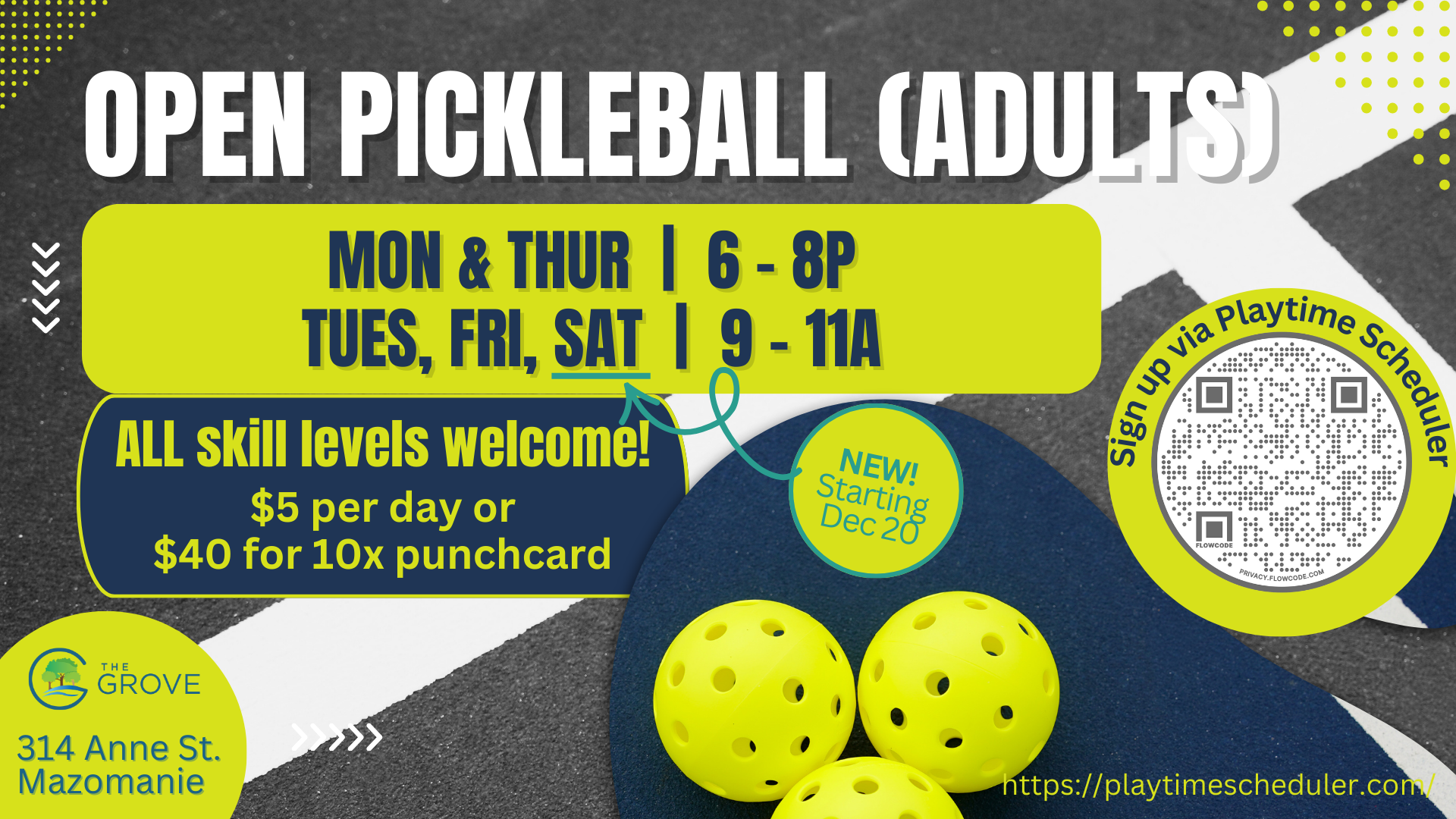 Open Pickleball