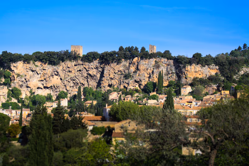 vignes de Pontevès du Chateau Carpe Diem