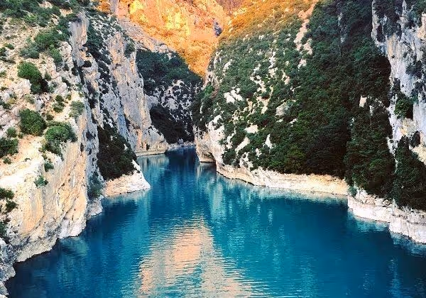 vignes de Pontevès du Chateau Carpe Diem