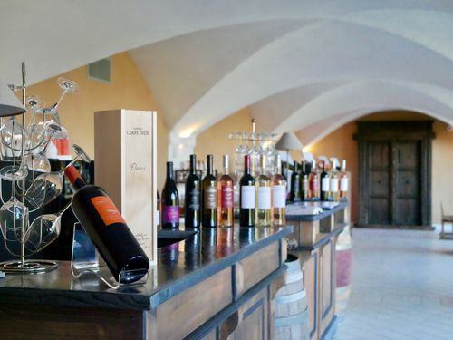 vignes de Pontevès du Chateau Carpe Diem