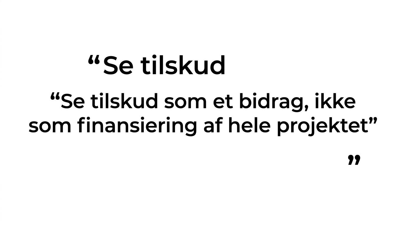 Citatfremhævning med budskabet om, at tilskud skal støtte et godt projekt frem for at styre det.