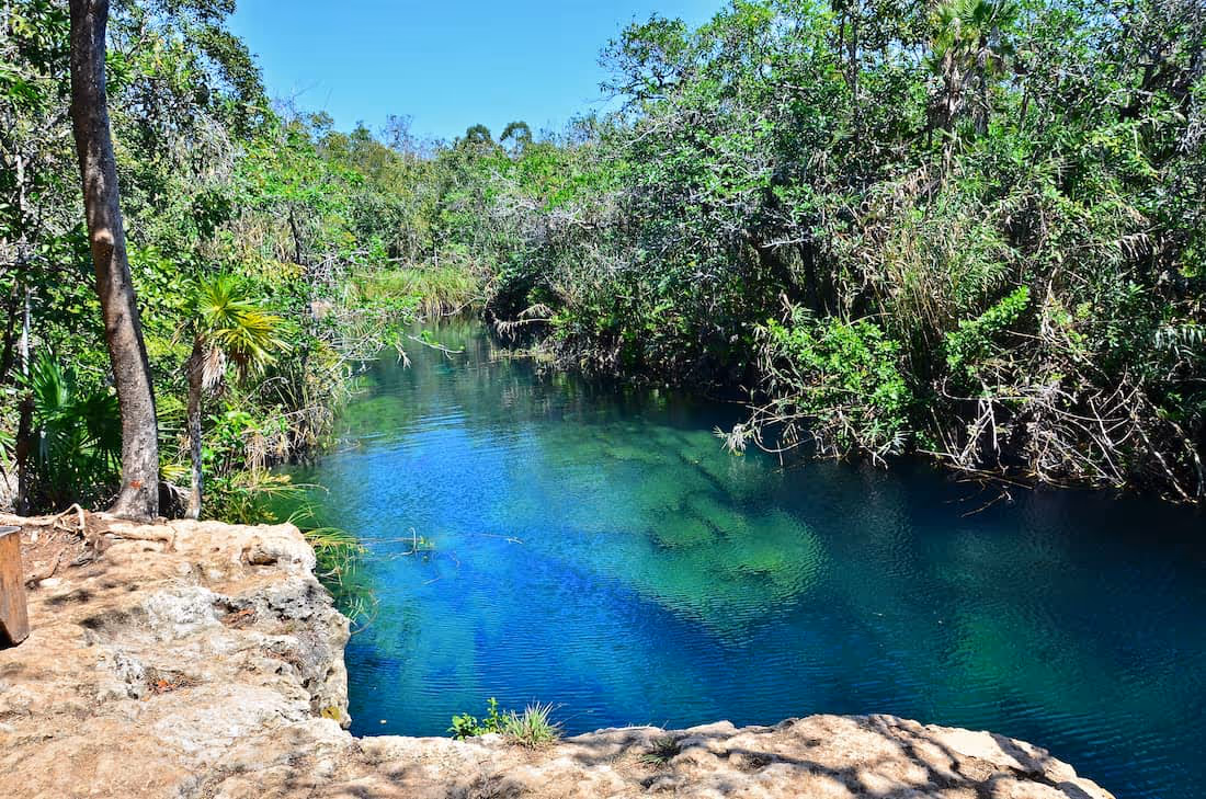 Cenote Escondido surrounded by jungle vegetation near Tulum