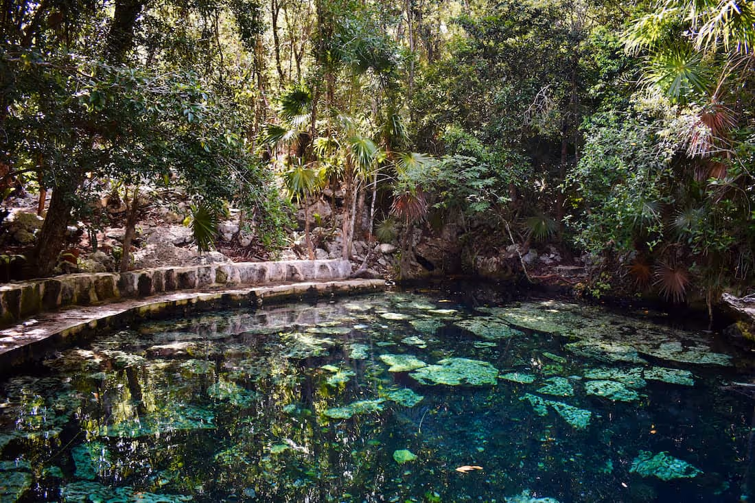 Family enjoying turquoise waters at Cenote Cristalino in Tulum
