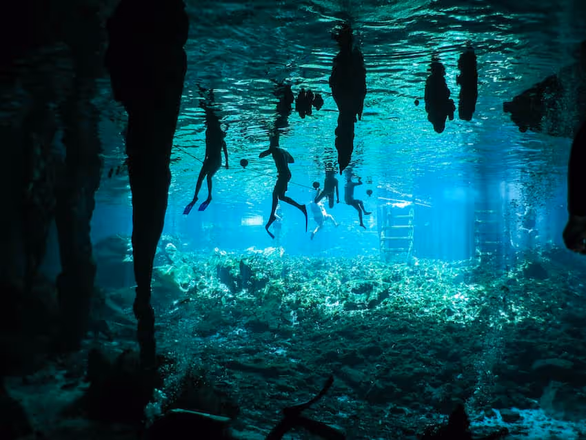 Gran Cenote en Tulum en Riviera Maya