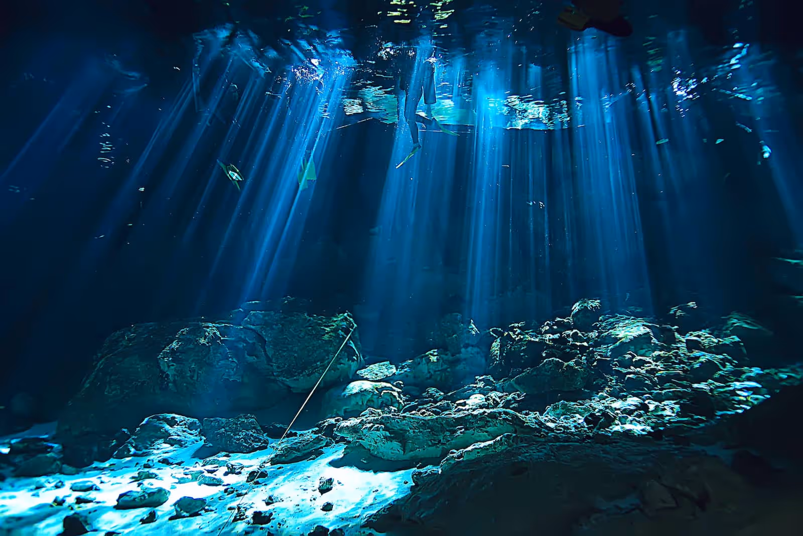 Swimming in Gran Cenote with clear waters, one of the unique things to do in Tulum