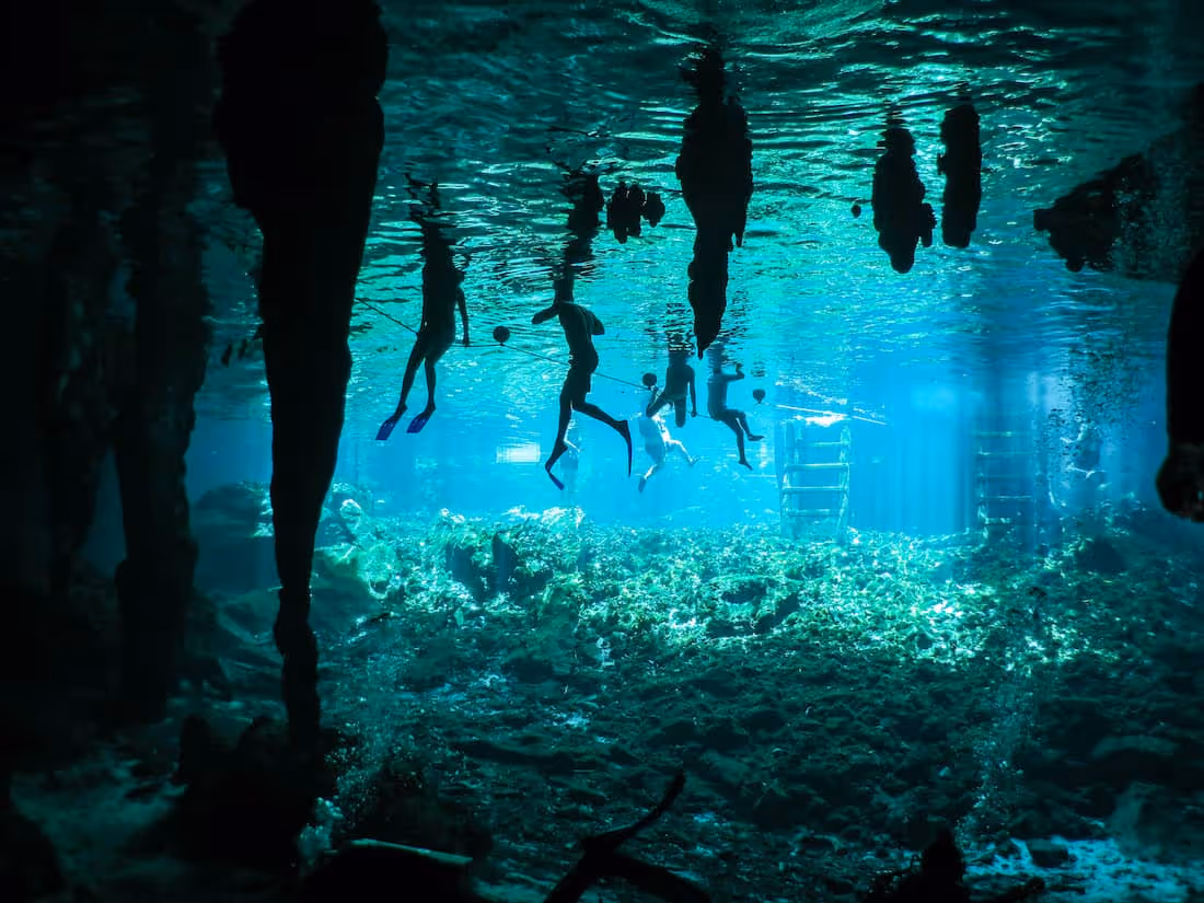 Swimming in Gran Cenote surrounded by lush jungle in Tulum