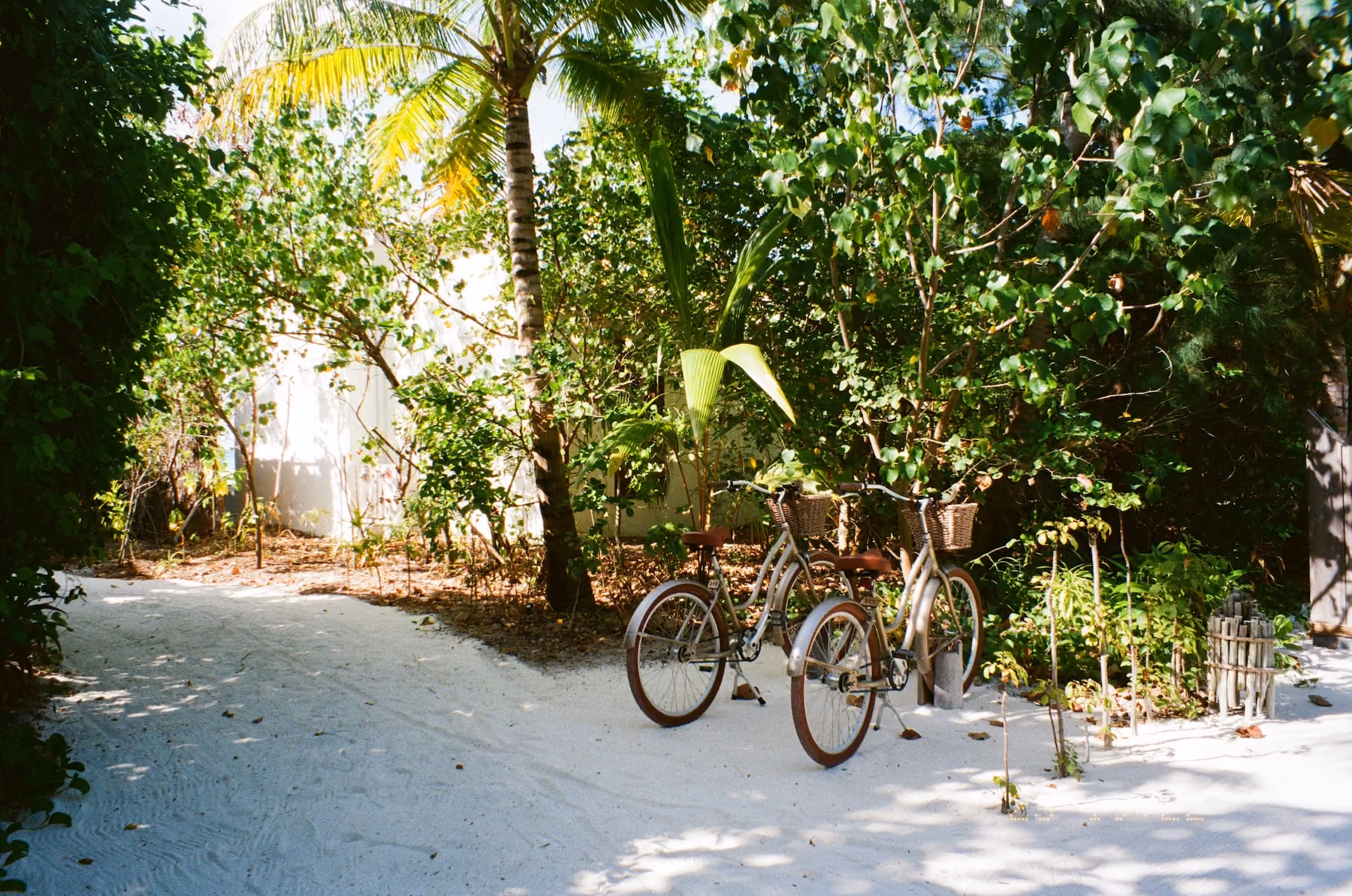Scooter and bicycle transportation in Tulum