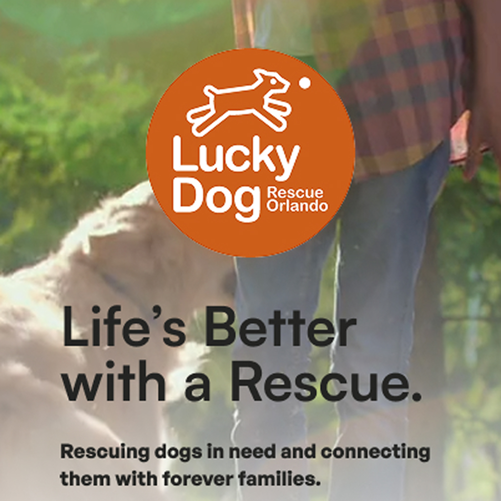 image of the Lucky Dog Rescue Orlando mobile landing page