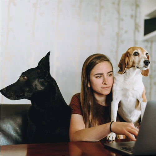 Desk with dog