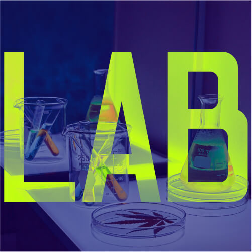 Lab