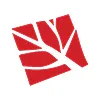 Woolcock Color Logo