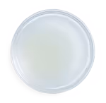 Lemon juice in a dish