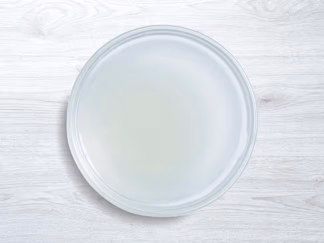 Lemon juice in a dish