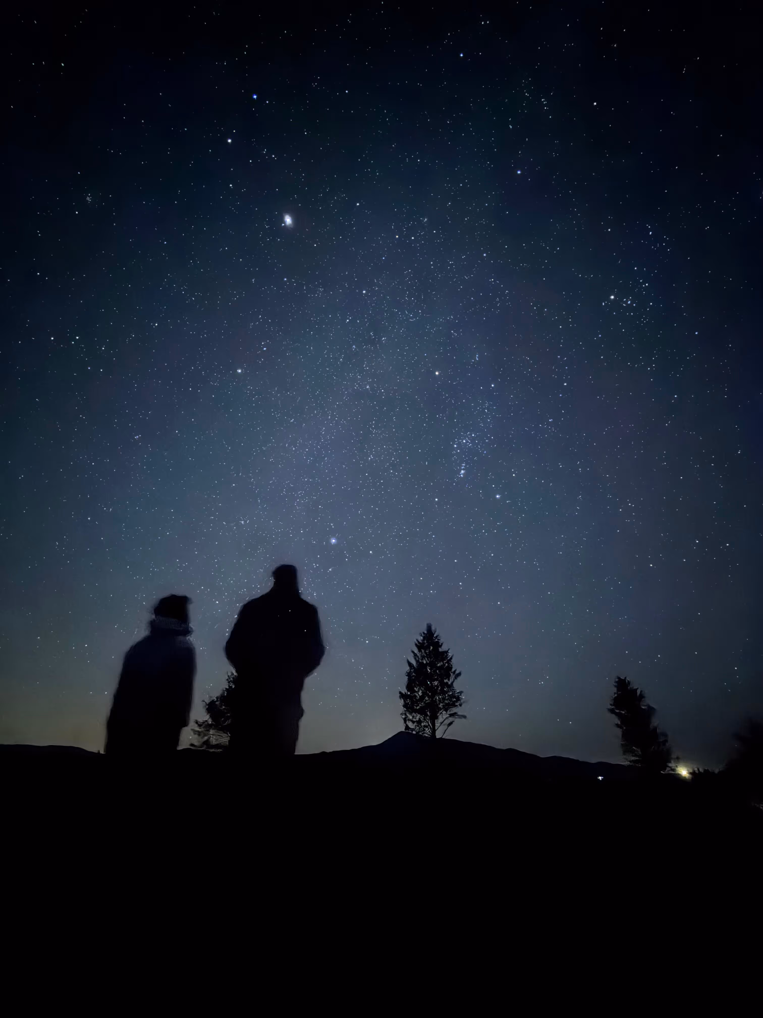 Sweeps & luv pug journey to the Oregon Coast