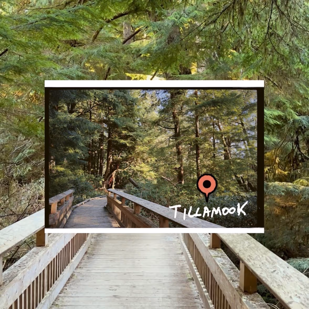 Tillamook