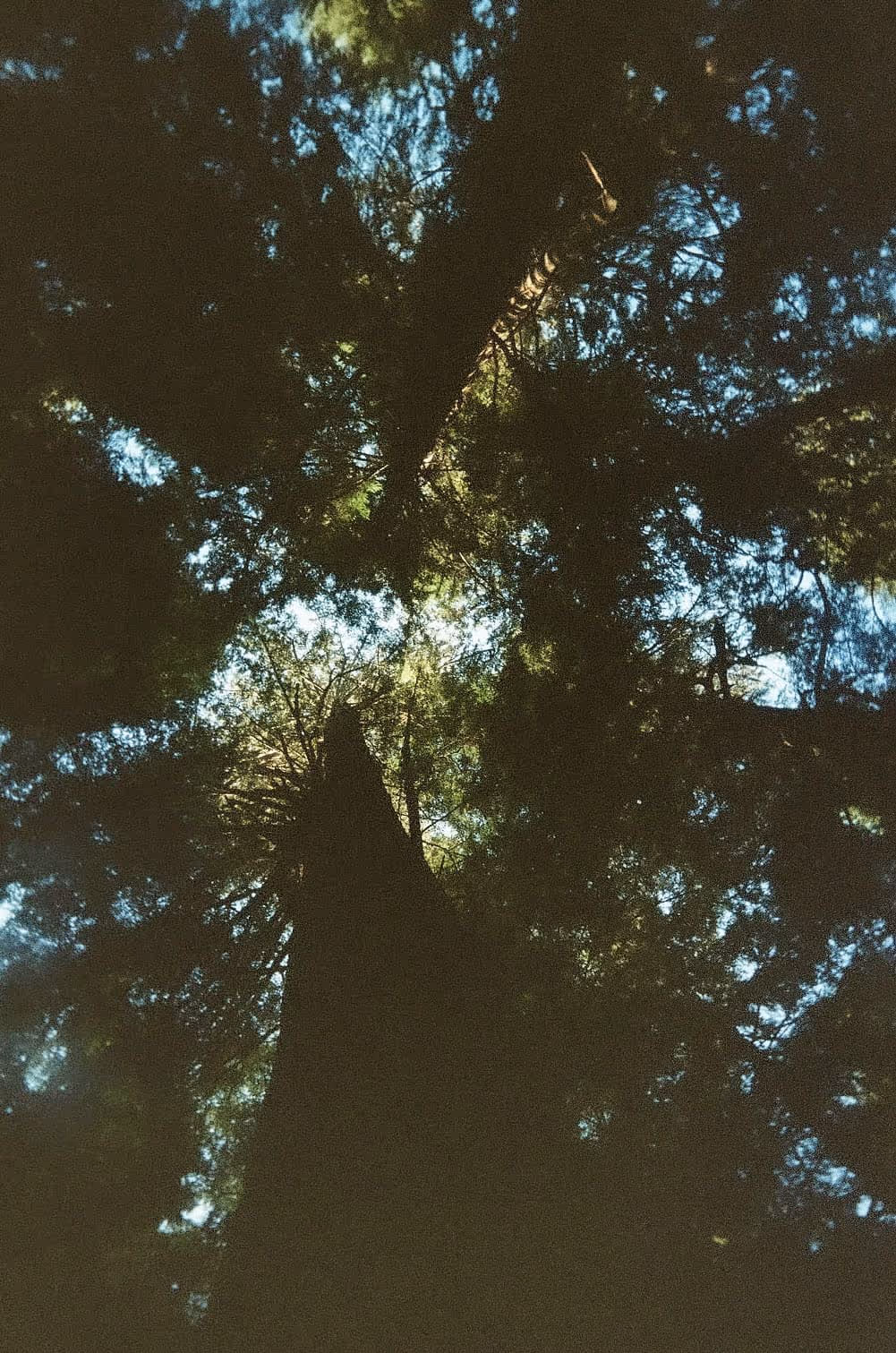 Photography by Sweeps