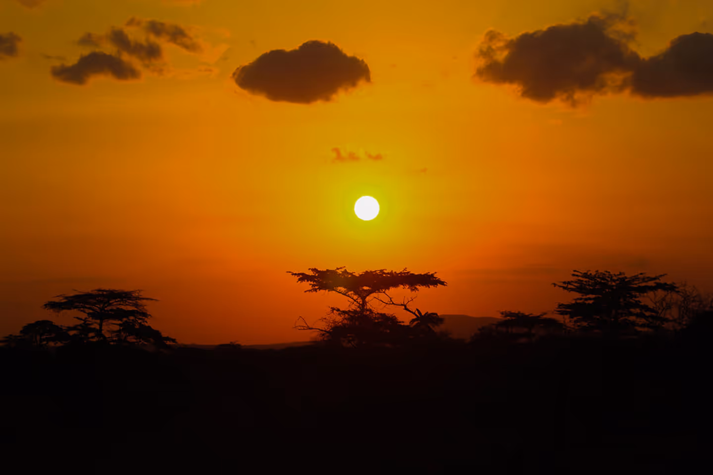 African Sunset