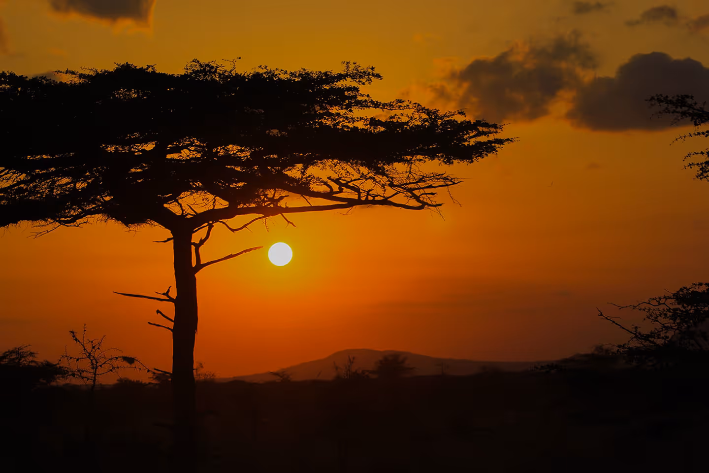 African Sunset 2