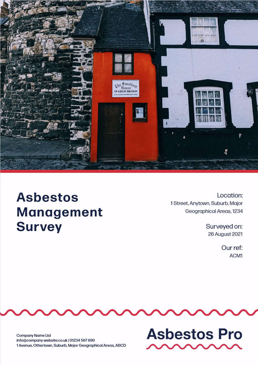 Asbestos Pro