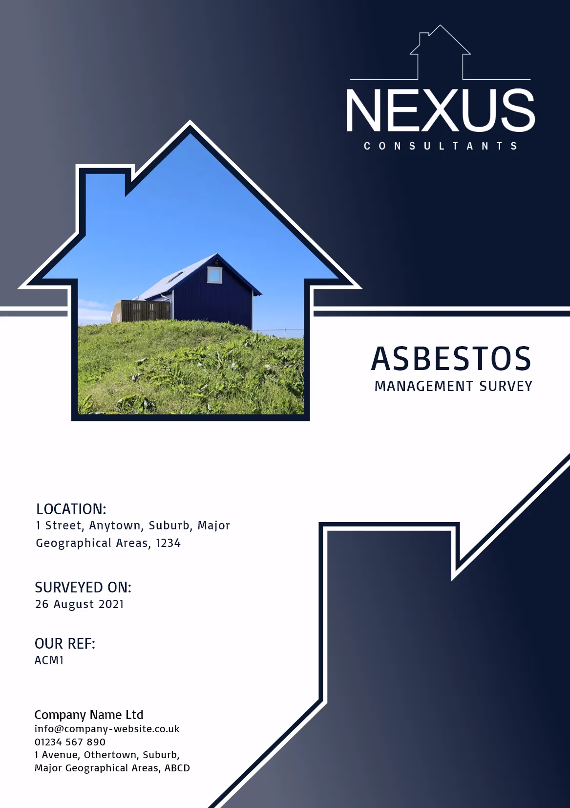 Nexus Consultants