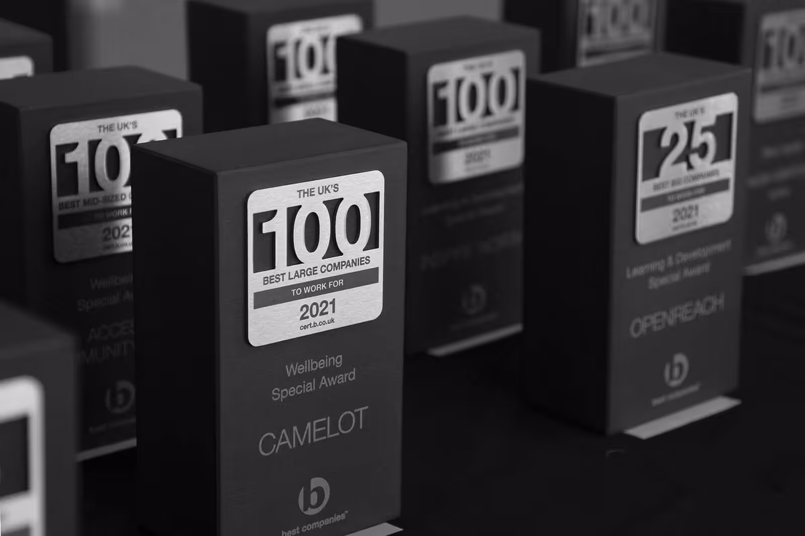 The UK's Best Companies to Work For 2021 Trophies on display