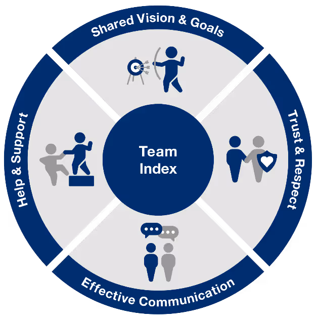 Team Index circle with four different segments that have unique icons to this index