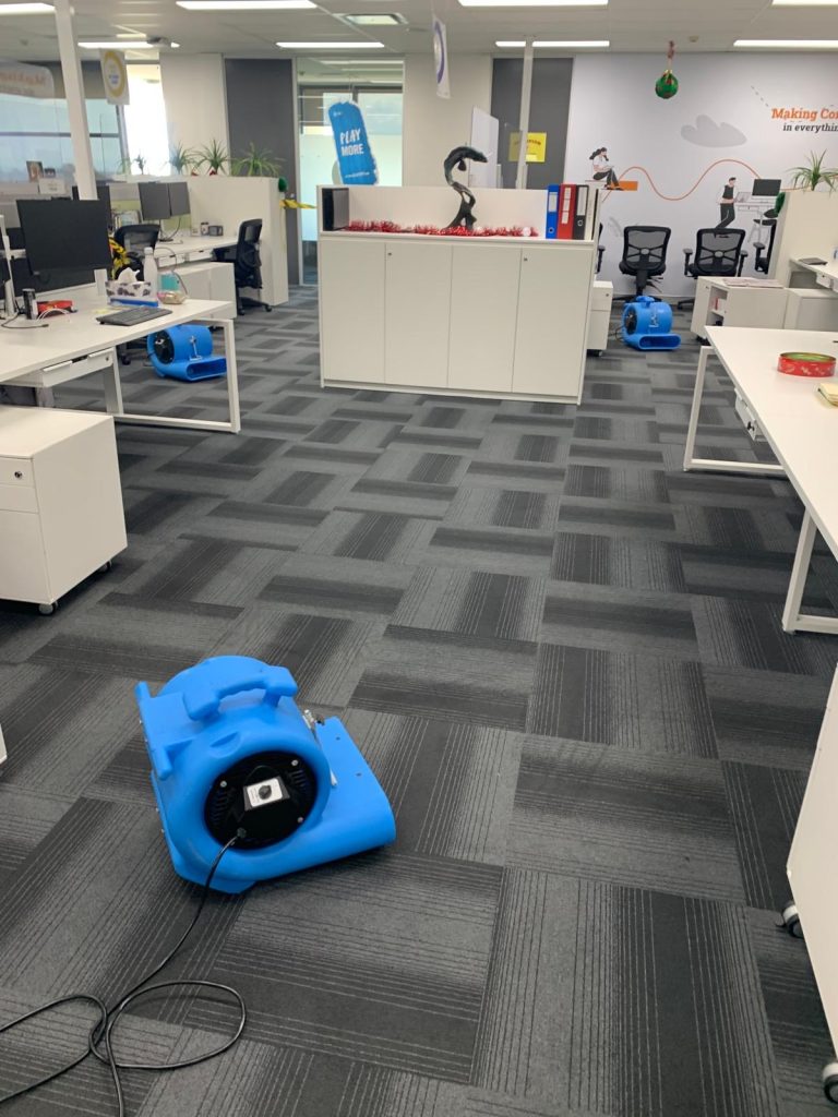 Commercial carpet-cleaning equipment used to support carpet drying