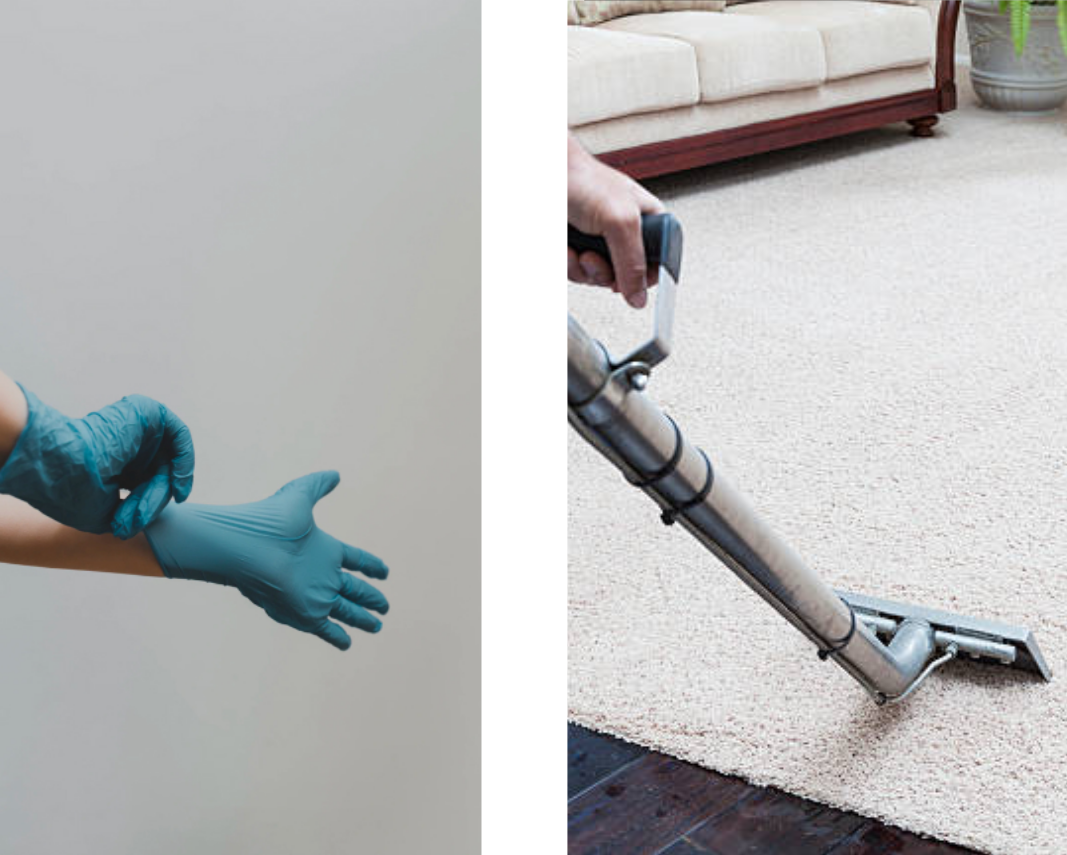 Carpet cleaner cleaning carpets.