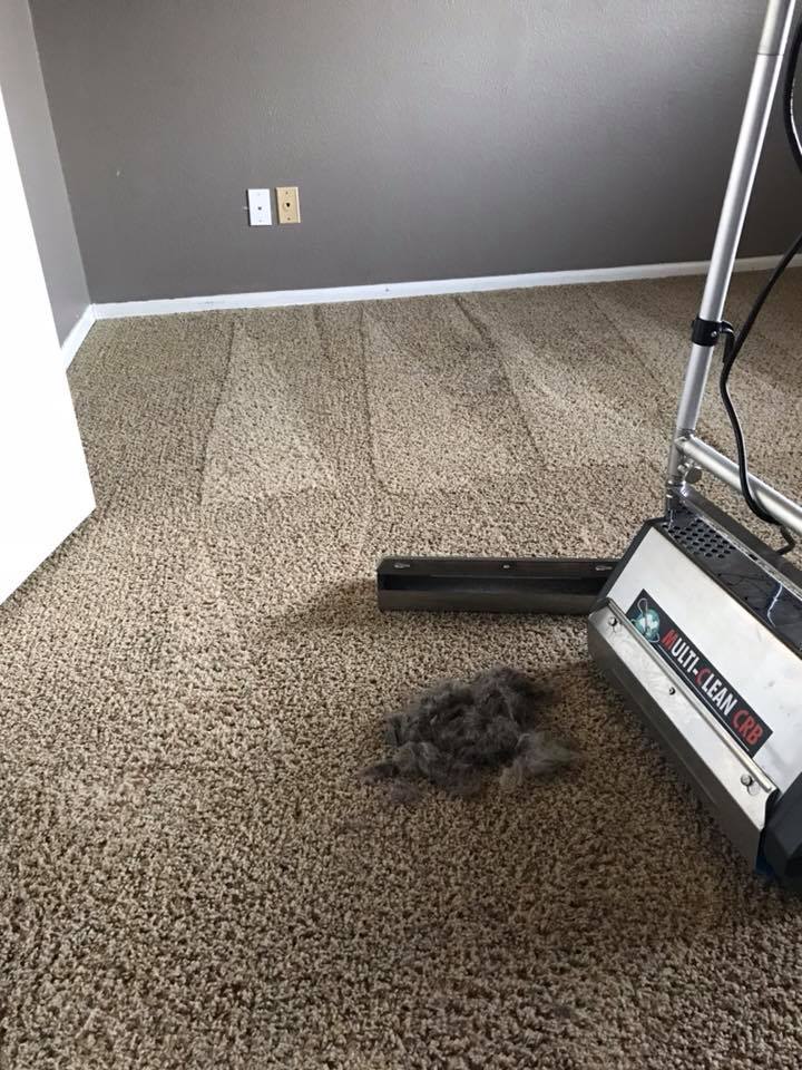 Low moisture carpet cleaning.