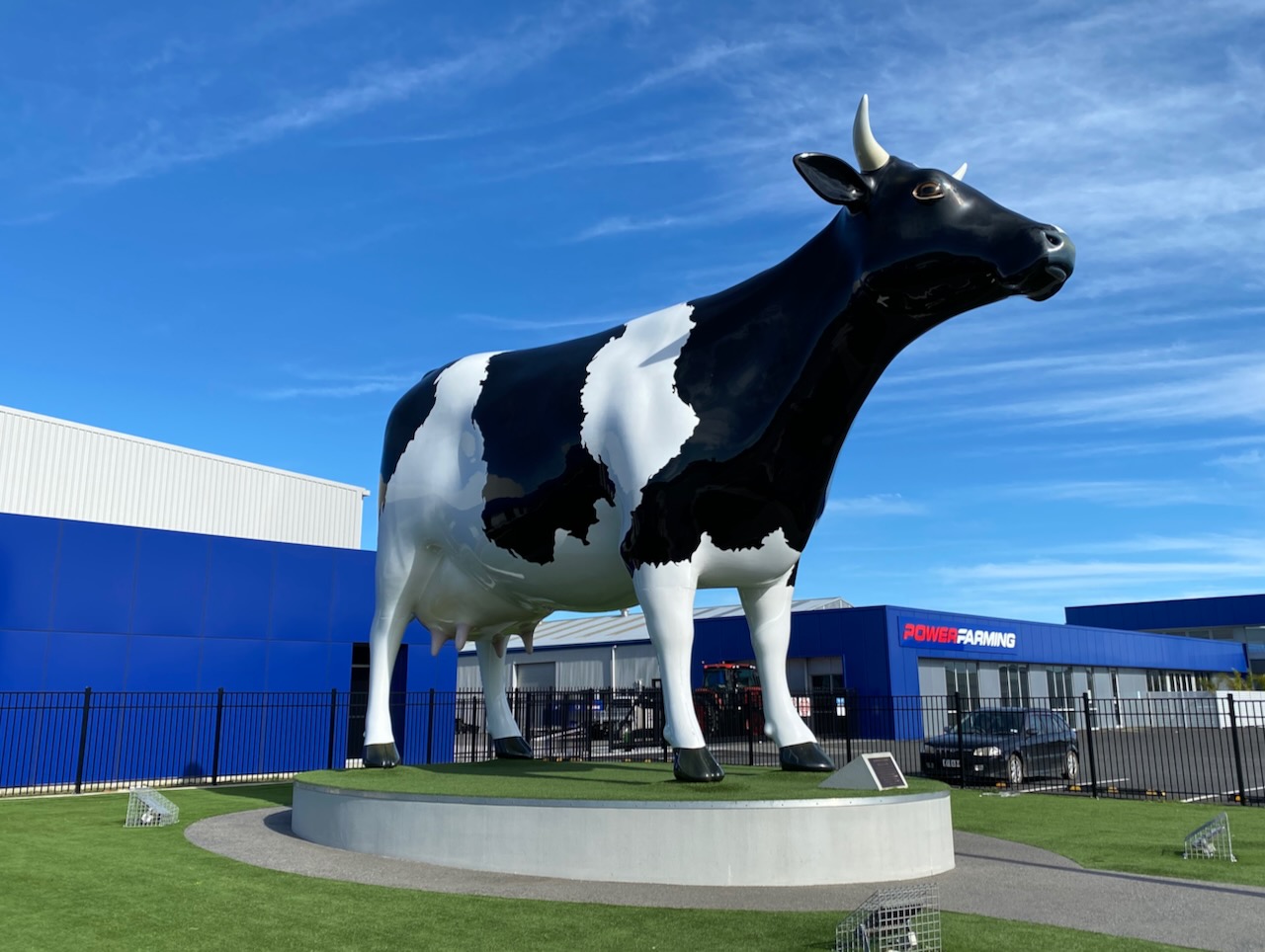 Mega Cow sculpture outside Power Farming in Morrinsville