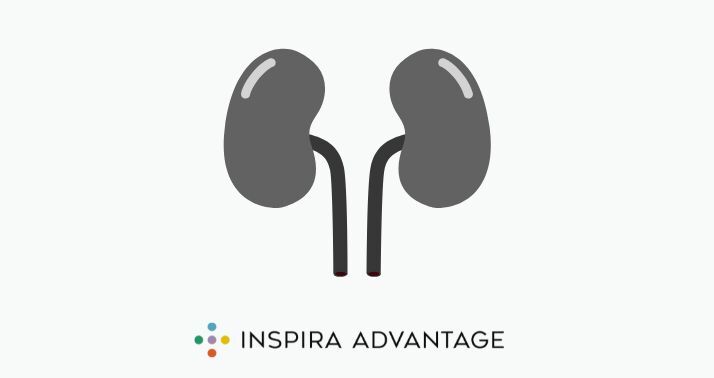 How To Become a Urologist