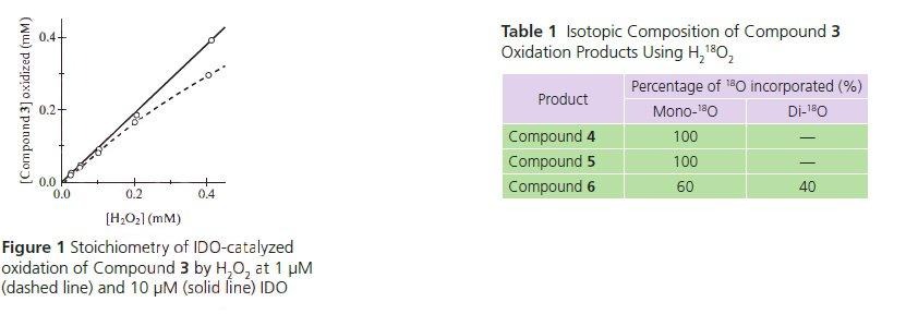 passage 2 graphs.jpg