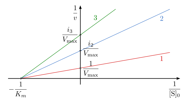 Lineweaver-Burke plot of non-competitive inhibitions