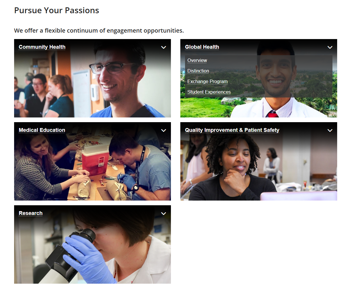 Screenshot of five Distinction tracks at UT Southwestern Medical Center