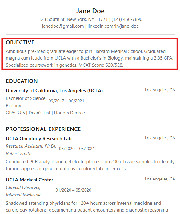 Screenshot of an effective identification and contact information in a pre-med resume.