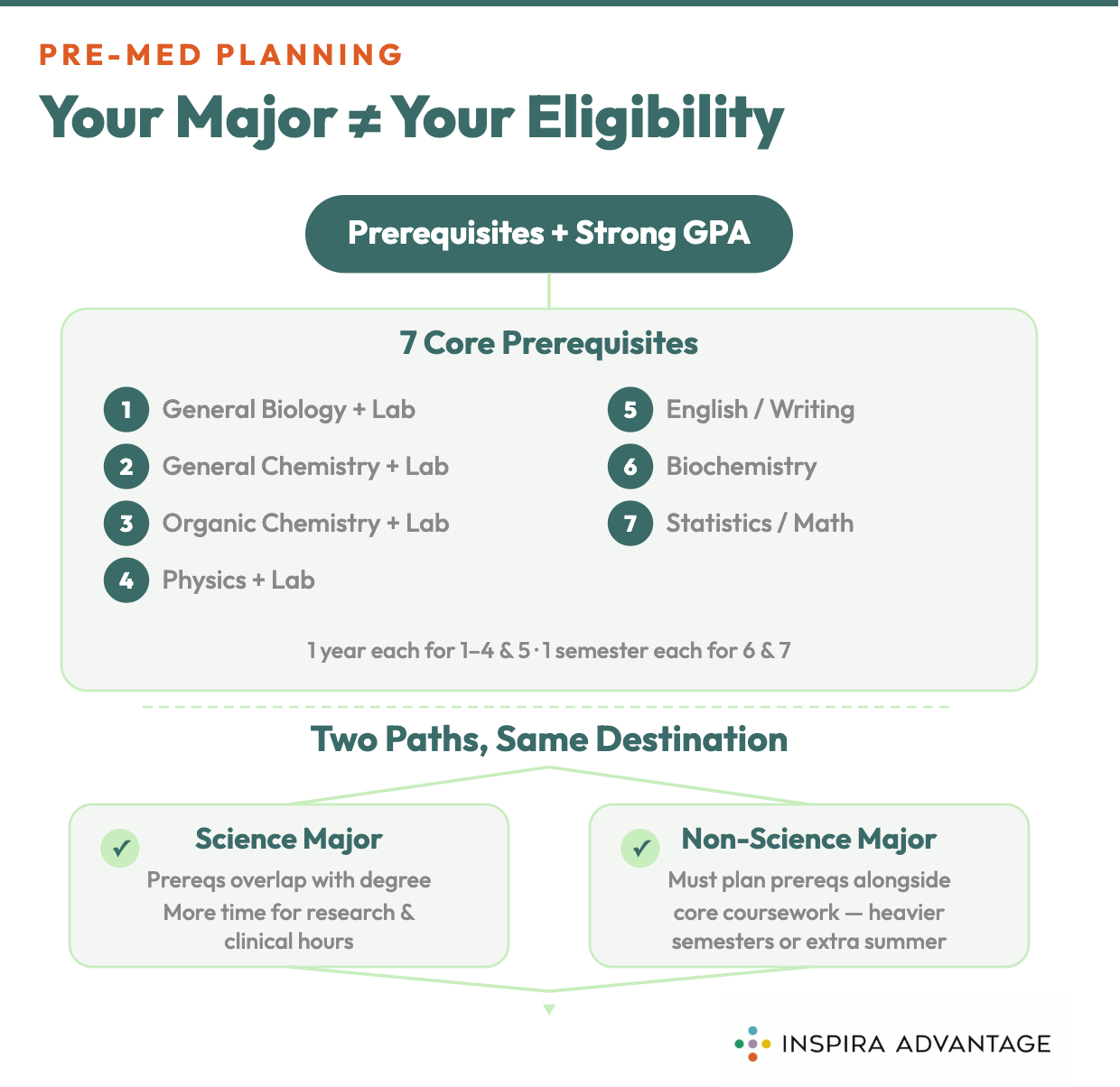 Graphic of Medical Schools Look for in a Pre-Med Major