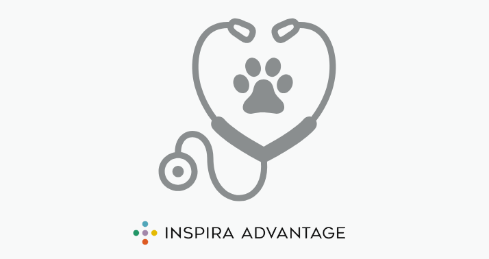 Vet School Personal Statement Examples + How to Write‍