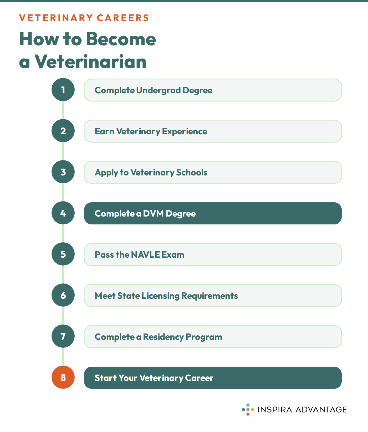 Graphic of how to become a veterinarian.
