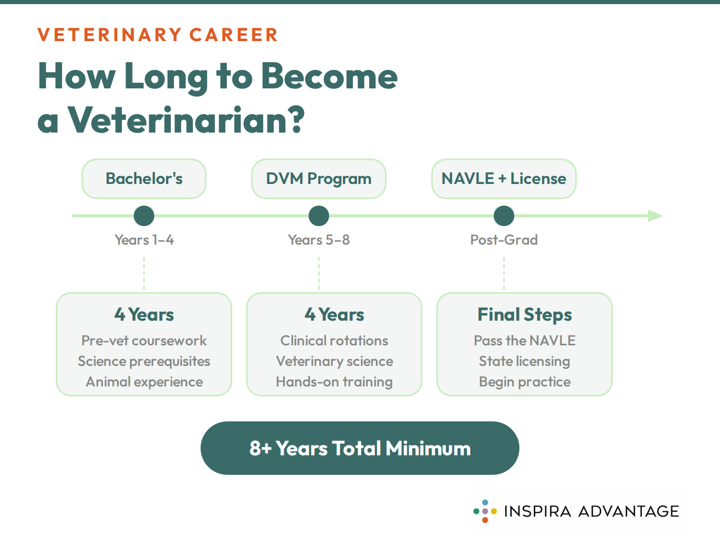 Graphic of how long it takes to become a veterinarian.